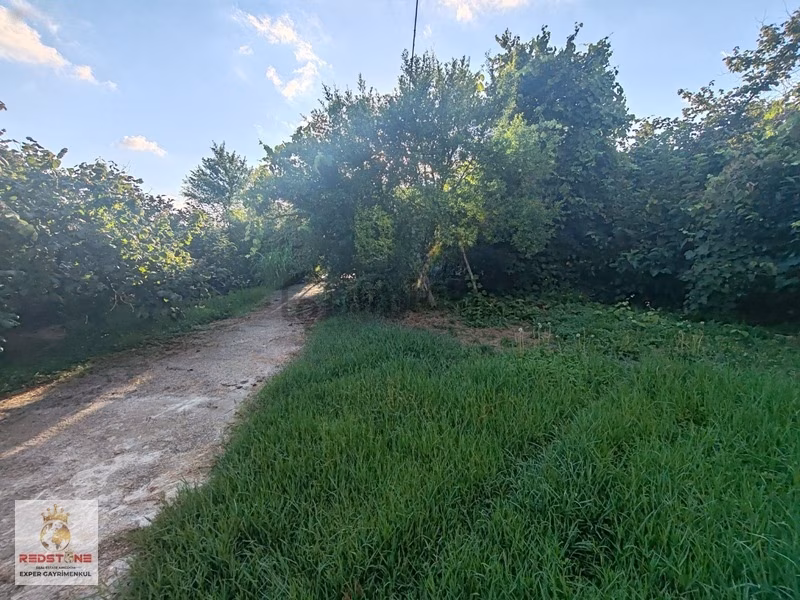 Akçakoca'da 732 M2 Denize Yakın Müstakil Köy Evi - 10