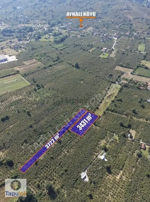 İmar Sınırında 7153 M² Arsa - 3