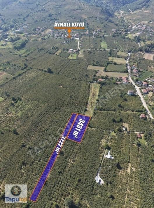 Sanayi İmar Sınırında 7153 M² Arsa - 4