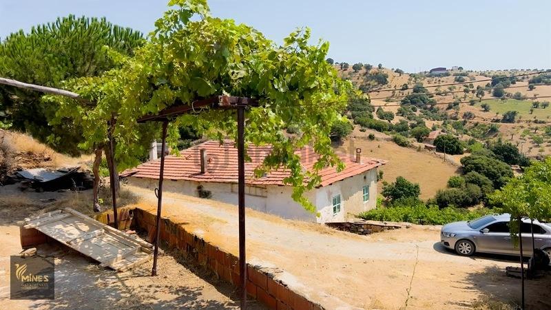 Fırsat ! Manisa Kula 2950 M2 Ev Ve Besi Damı - 13