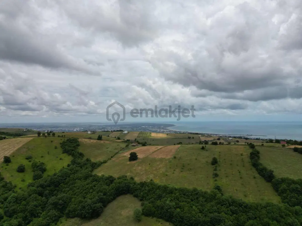 Atakum Kurugökçede Satılık 3.600 M2 Tarla - 5