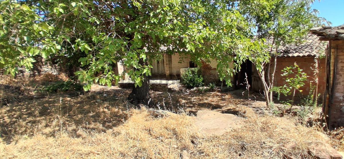 Sahibinden Dalama'da Çift Tapulu Yatırımlık Geniş Arsa & Ev - 10
