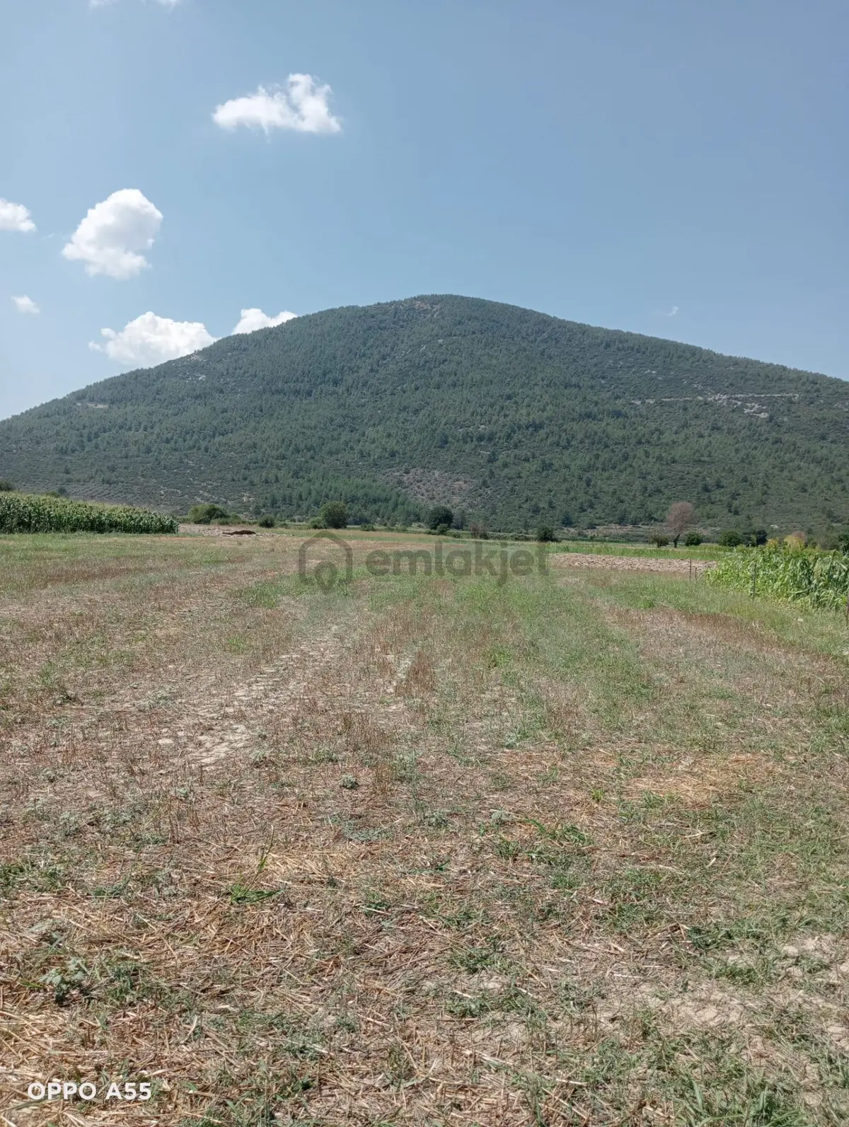 Muğla Menteşe Kafaca'da Satılık Tarla(hobi Bahçesi) - 14