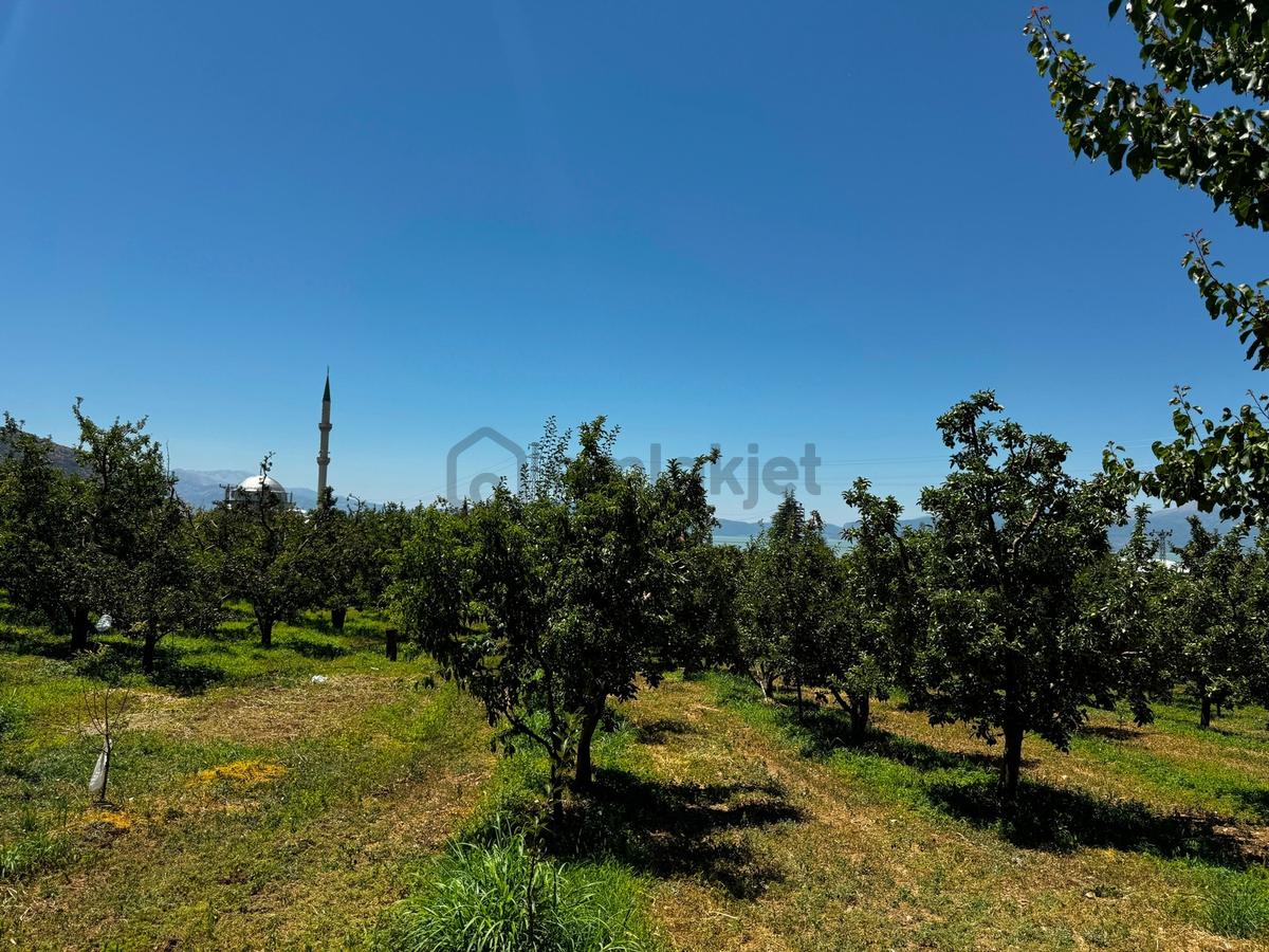 Isparta Gelendost Yeşilköy'de 2400m2 Satılık Bahçe - 15