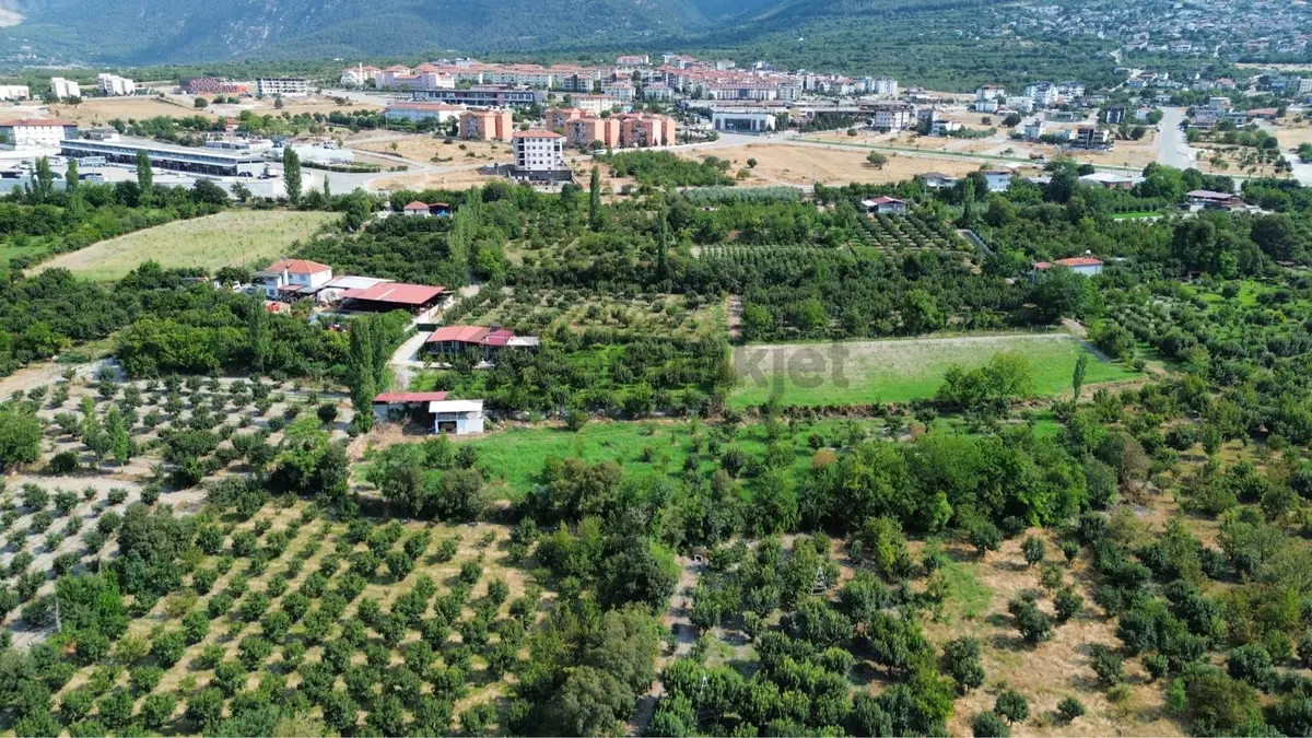 Bu Bahçeyi Kaçıran Çok Üzülür - 3