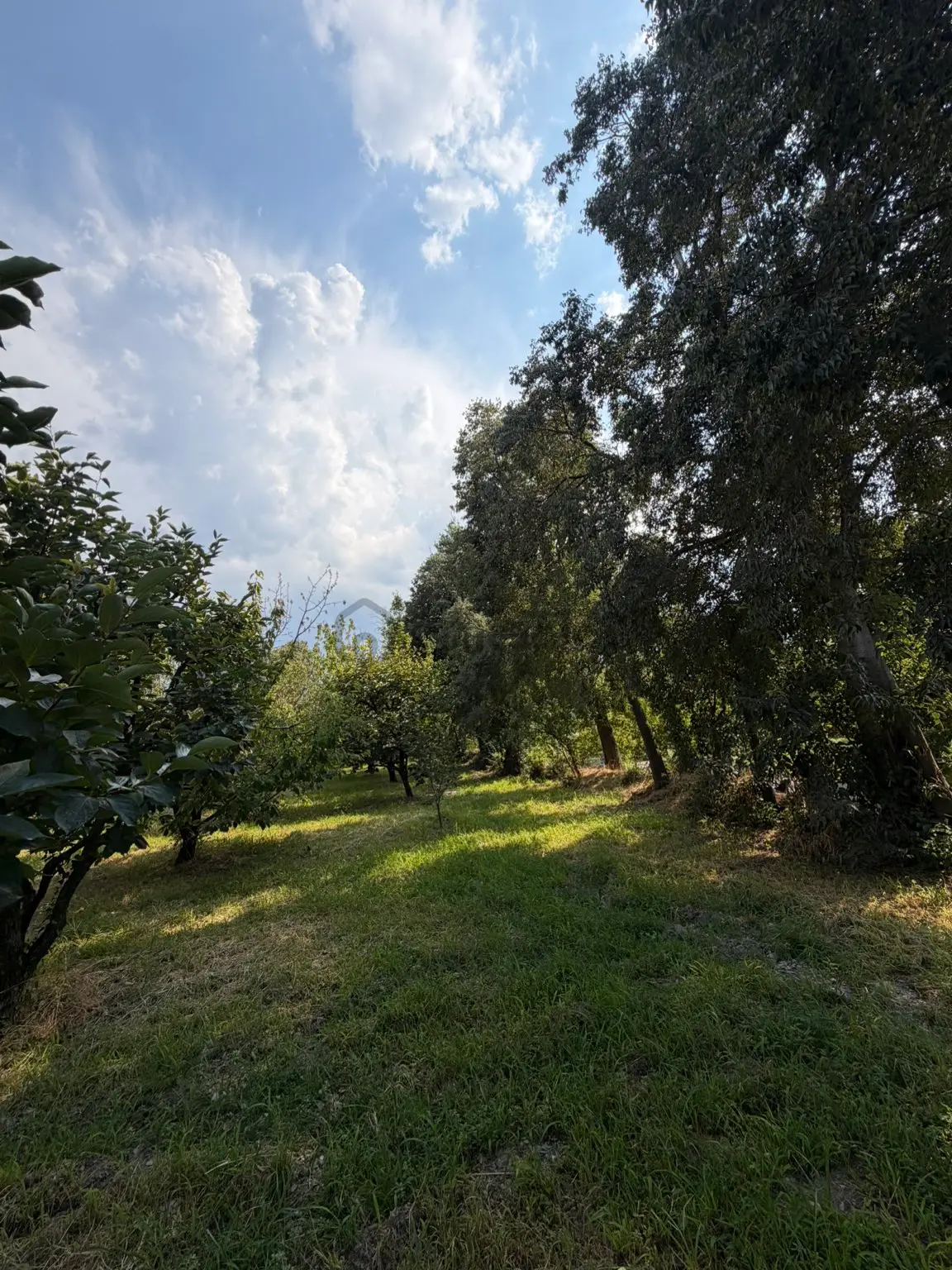 Bu Bahçeyi Kaçıran Çok Üzülür - 7