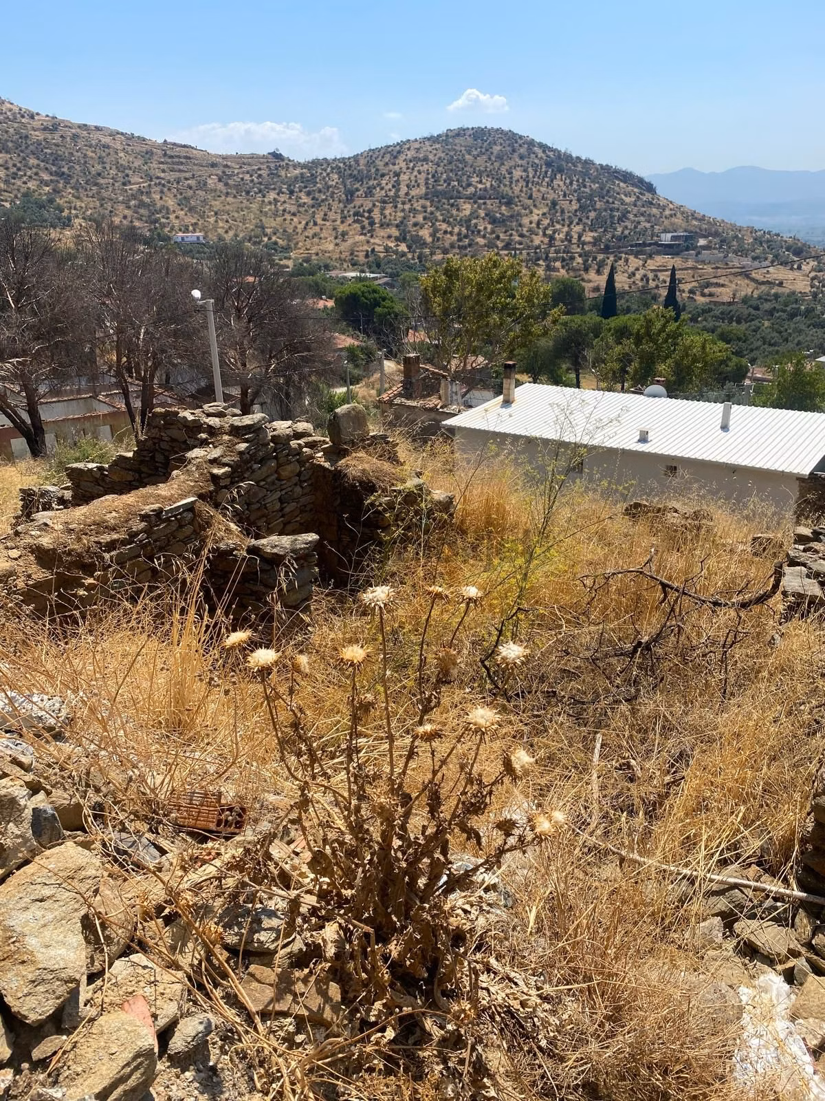 Sahibinden İzmir Bayındır Eskiciplak Yesilovada Satilik - 5