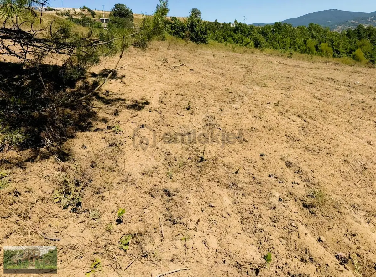 Sahıbınden 220m Hisseli Parseller. - 3