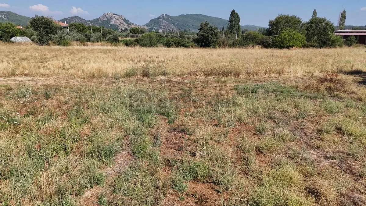 Muğlada Denize Yakın 970 M² İmarlı | 250 M² İnşaat Hakkı - 8
