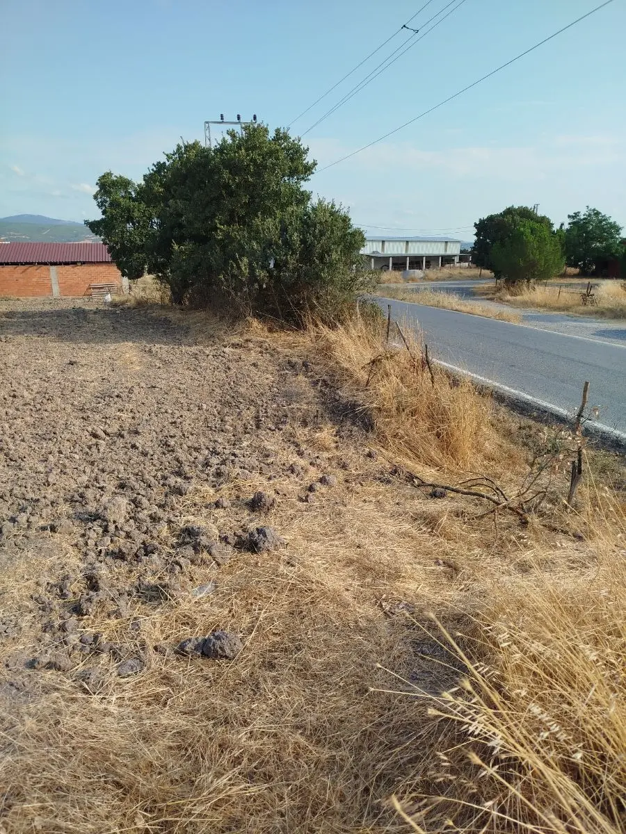 Asfalta 21 Metre Cepheli İmarlı Arsa - 22