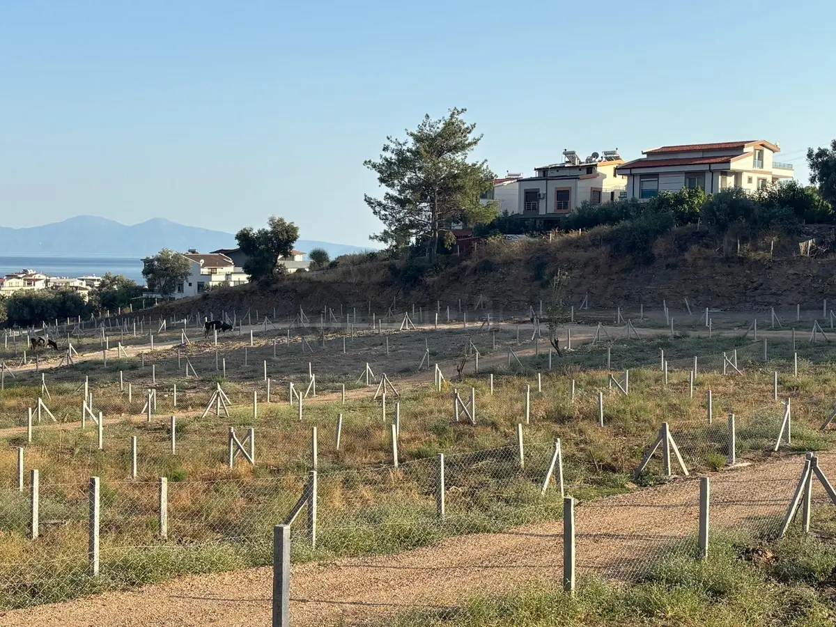Özderede Denize Yürüme Mesafesinde İmar Sınırında Arazi - 8