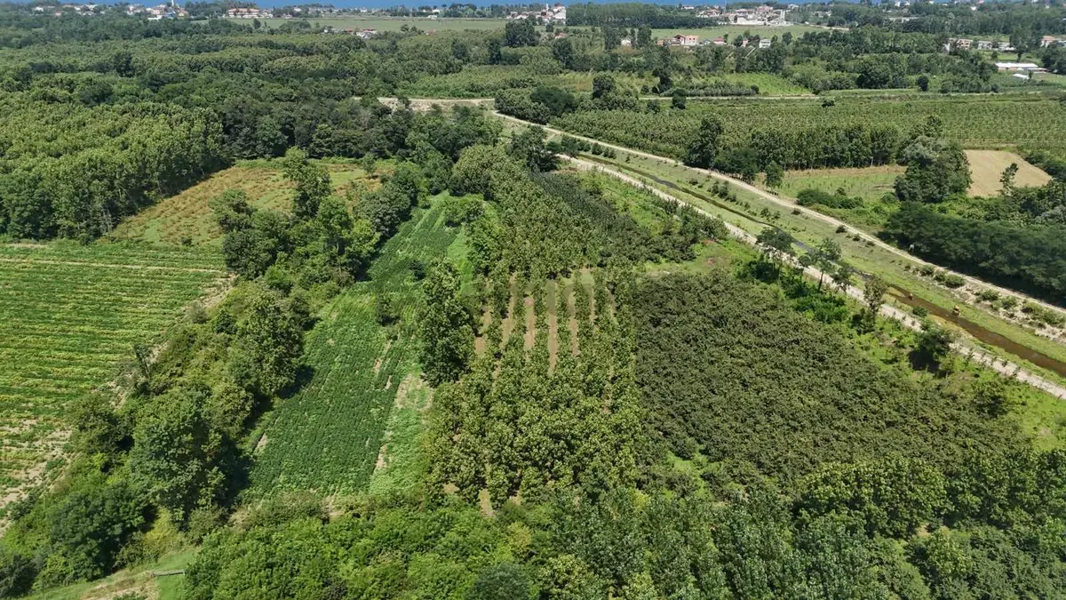 Lerox Uçar'dan Evci Merkezde Satılık Tarla - 2