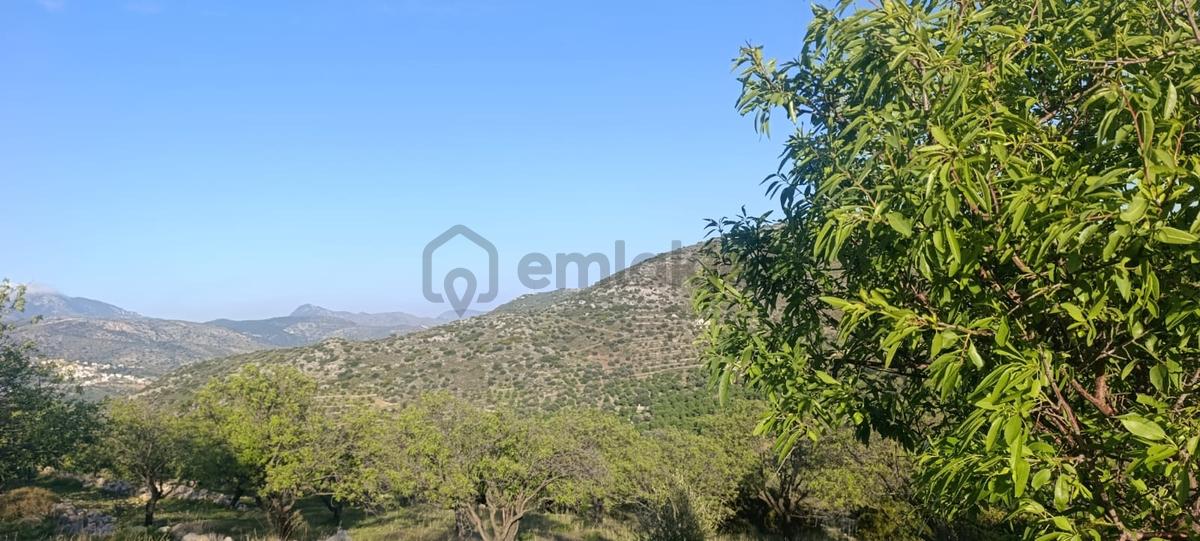 Datça Palamutbükü'nde Satılık Arazi | Deniz Manzaralı - 24