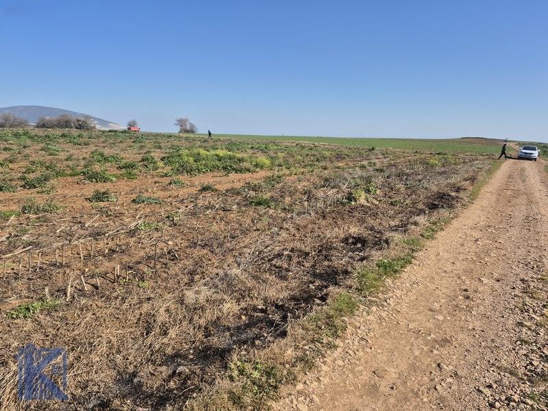 Karacabey Doğala'da Satılık 2000m² Yatırımlık Tarla - 7
