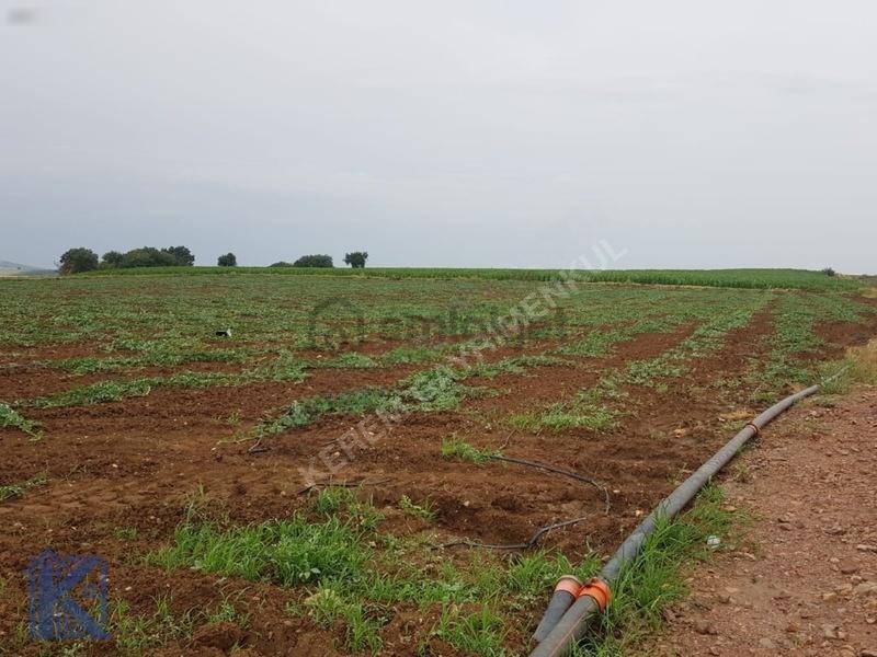 Karacabey Doğala'da Satılık 2000m² Yatırımlık Tarla - 3