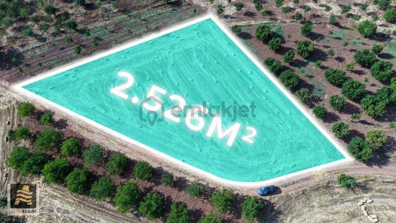 Taraklı Çamtepe Köyünde Satılık 2526m2 Tarla - 2