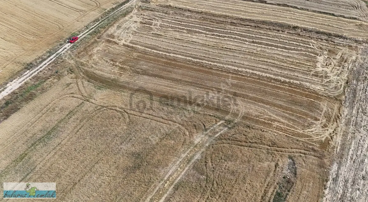 Edirne Lalapaşa Kalkansöğüt'te Satılık Tarla - 14
