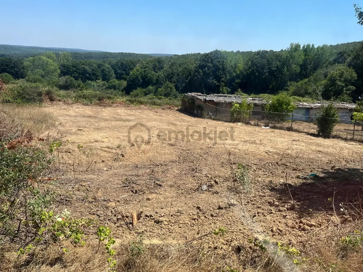 Sahibinden Çatalca Çiftlikköy Bulunmaz Arazi - 6