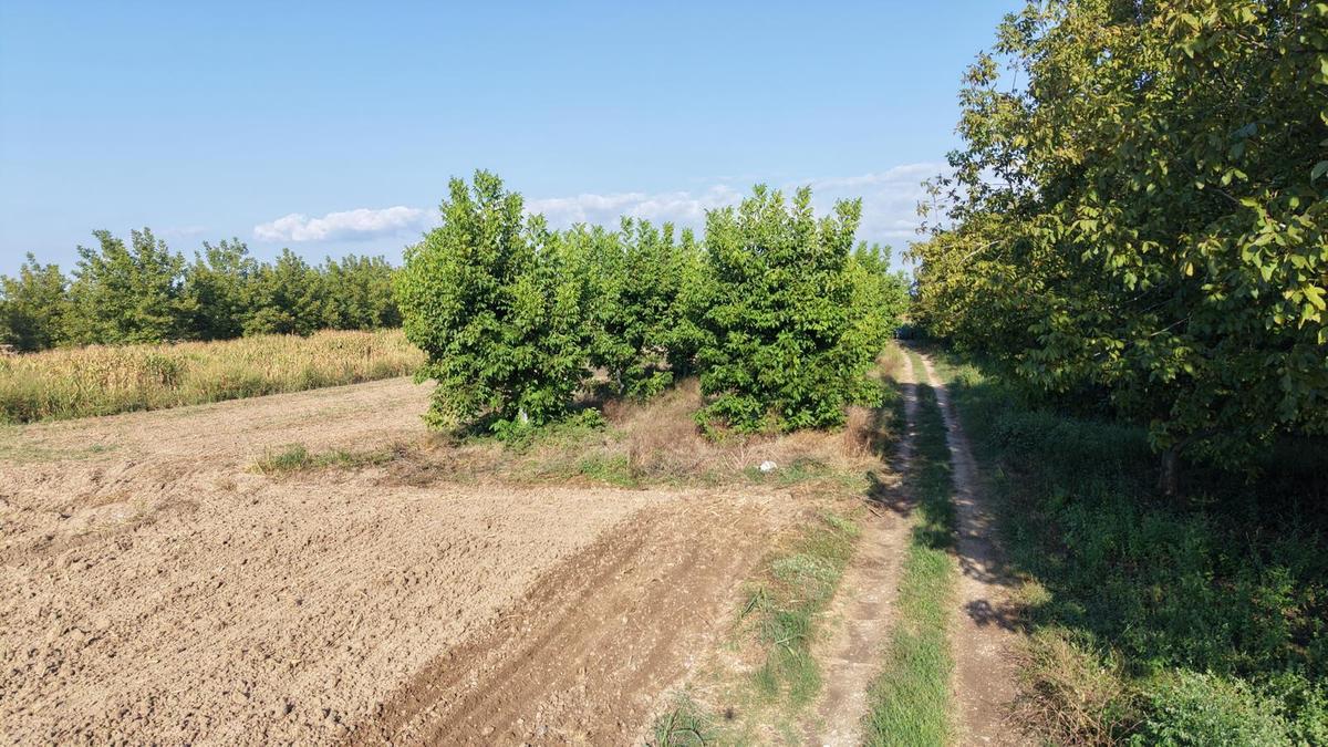 Remax Mavi'den Arifiye Mollaköy'de Satılık Tarla - 8