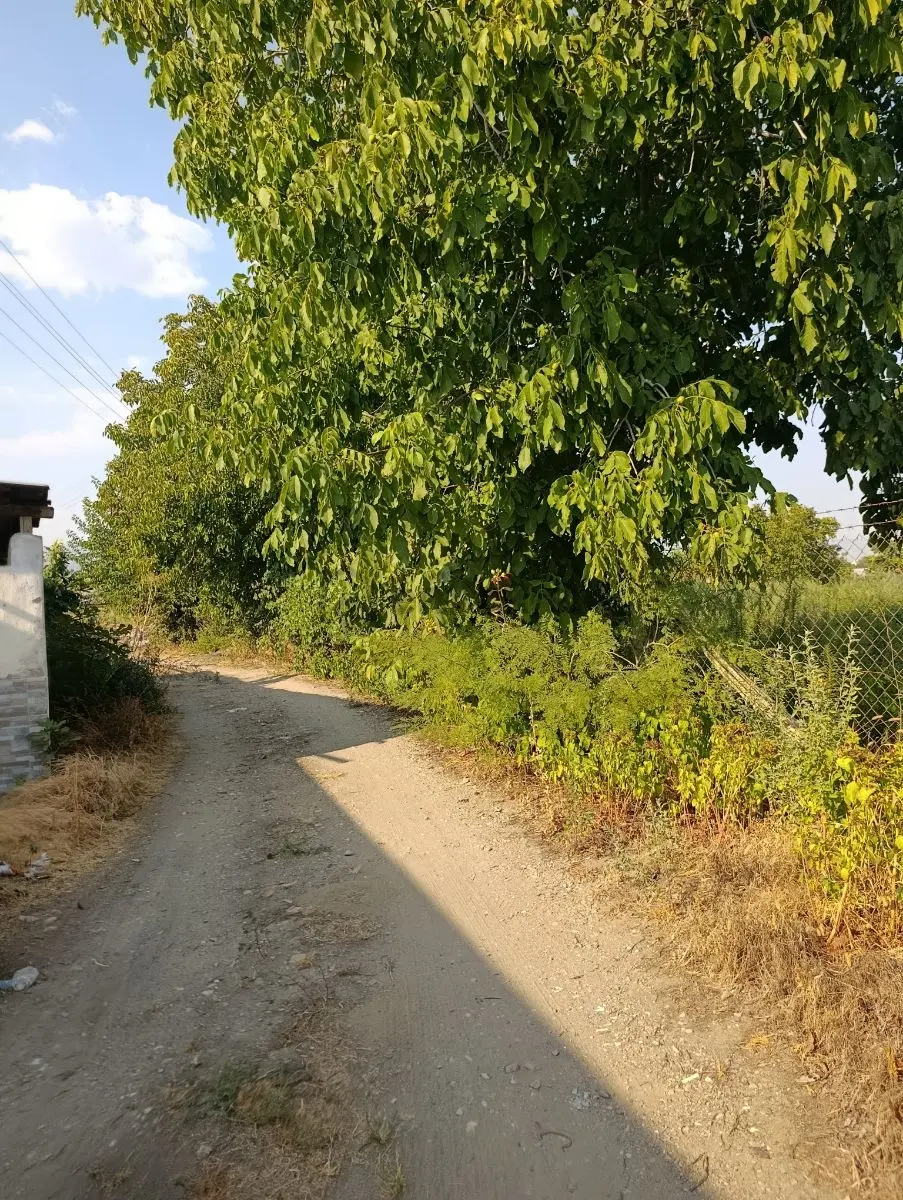 10.000m Bahçe ️ Eski Ev Hayvan Damı. - 22