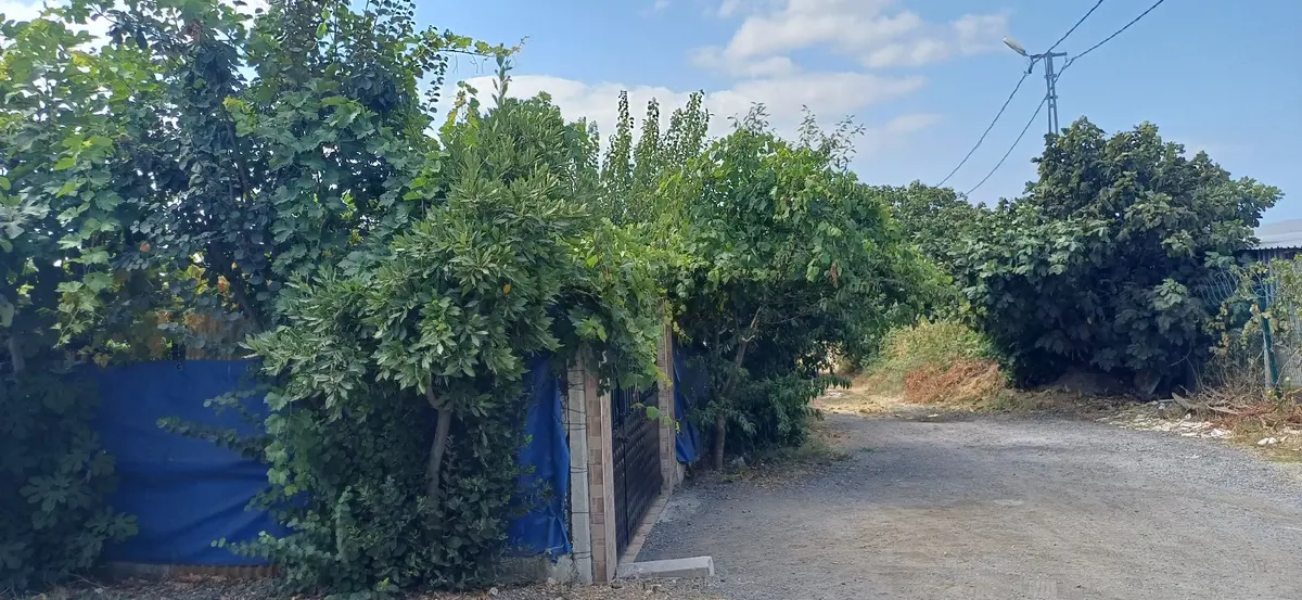 Büy0kçekmece Kumburgazda Satılık Arsa - 11