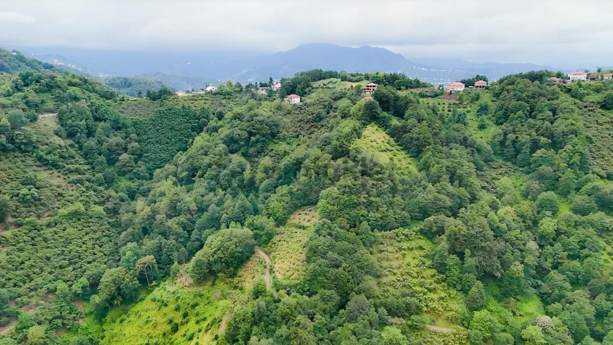 Yardım Emlaktan Akçaabat Mersin De Satılık Tarla - 8