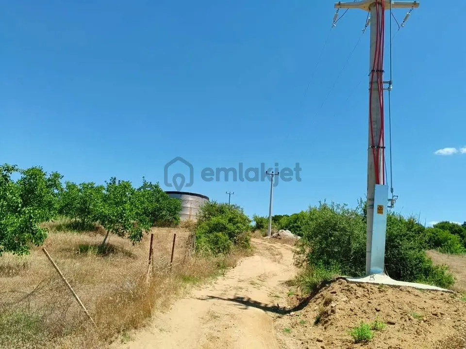 Tc Emlaktan Satılık Ceviz Bahçesi Ve Boş Tarla - 15