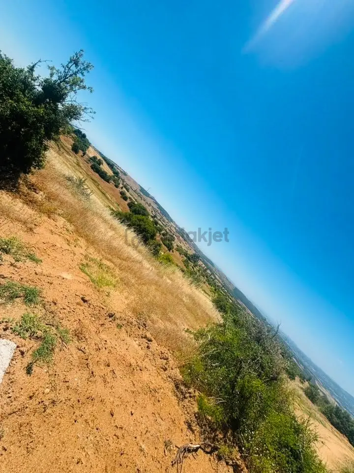Tc Emlaktan Satılık Ceviz Bahçesi Ve Boş Tarla - 18