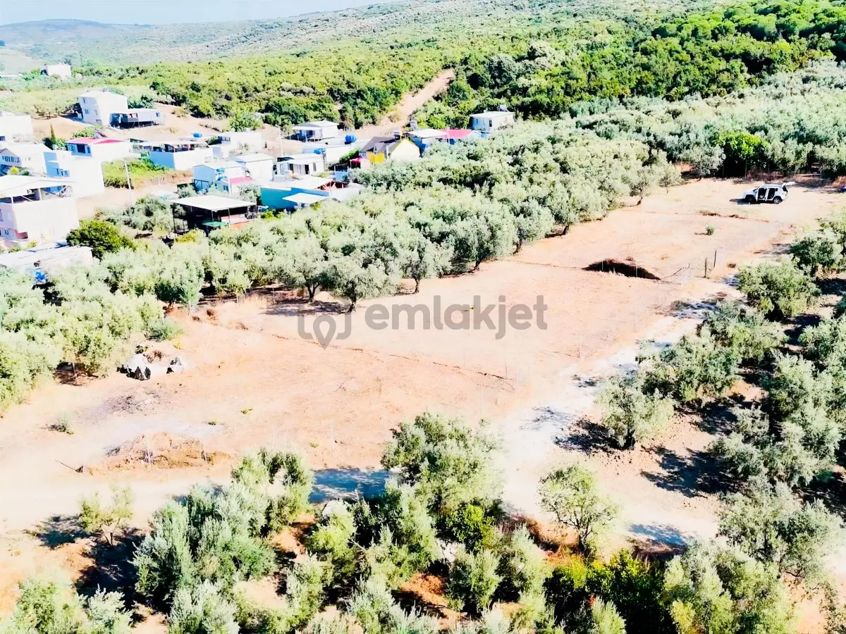 Bursa Mudanya Mesudiye Satılık 517m2 Tarla - 25