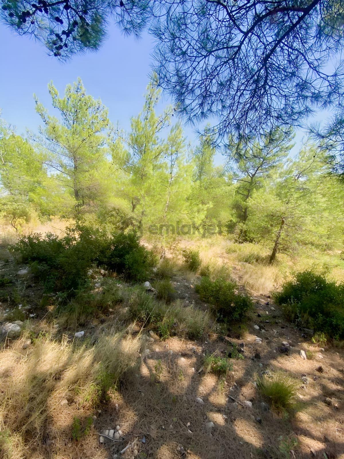 Kelepir Seyrantepe Arsası - 20