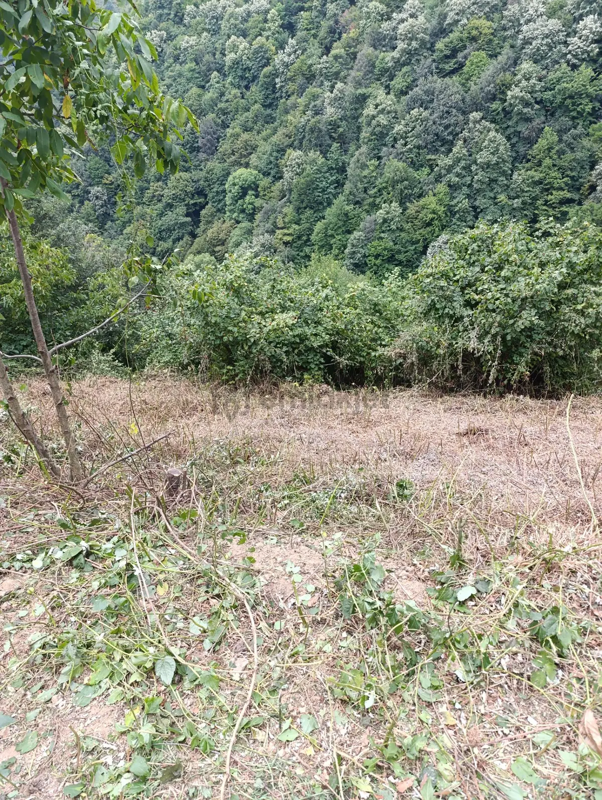 Sahibinden Sahabinden Satılık Fındıklık - 6