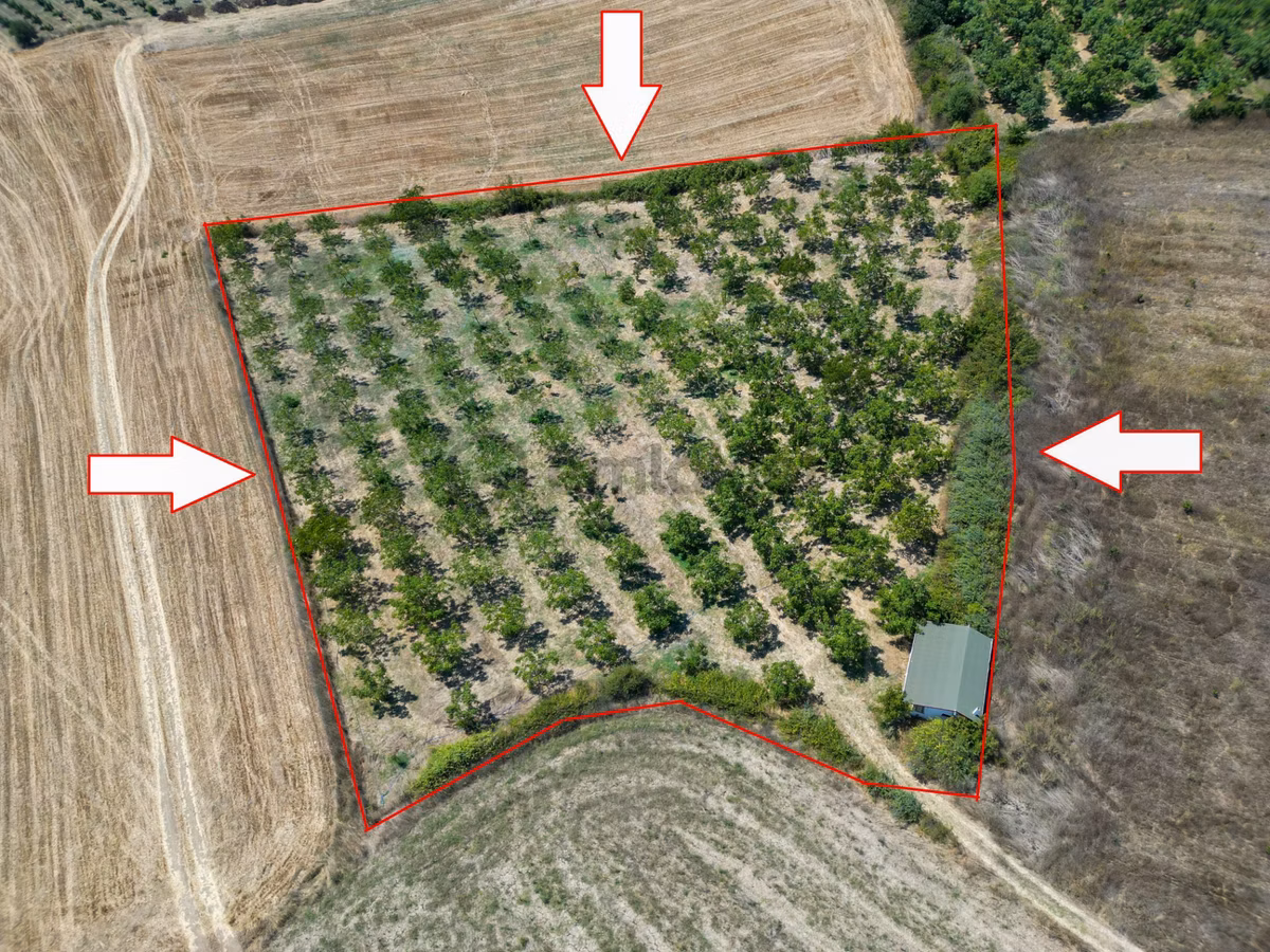 Uzmanlar'dan Yalakdere 8745 M2 Satılık Ceviz Bahçesi