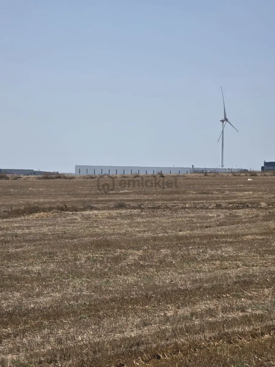 Kızılpınarda Tek Tapu Tarla 2.500 M² - 11