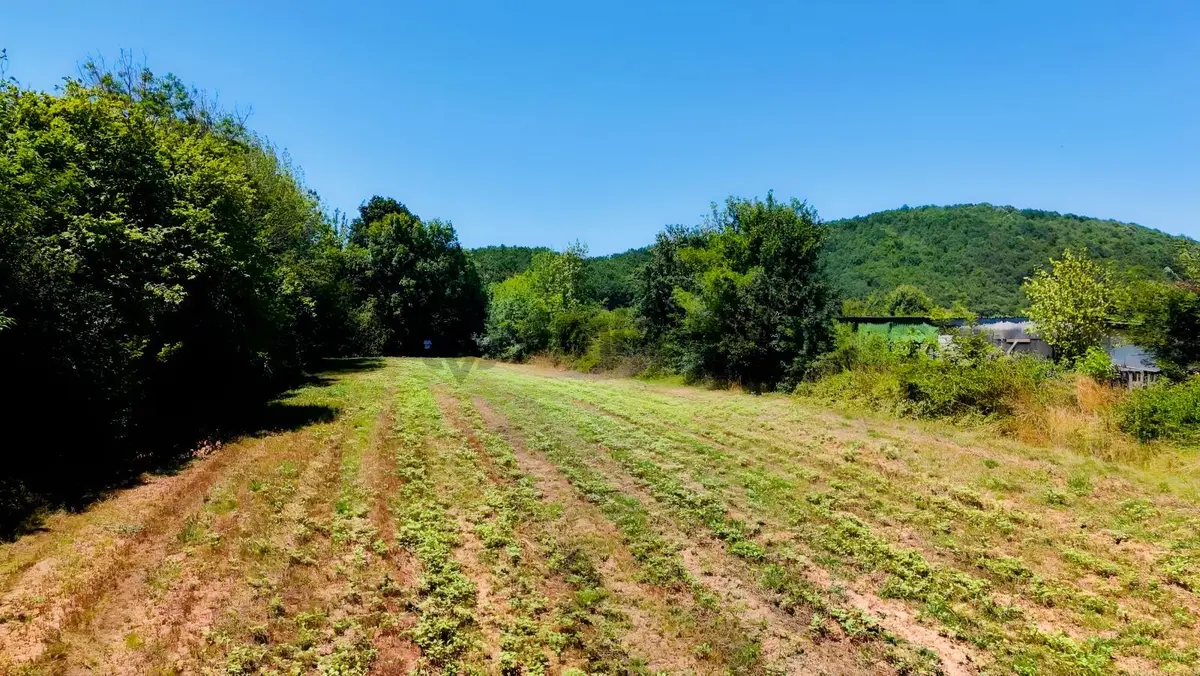  Şile Satmazlıda 2.880 M² Müstakil Parsel - 15