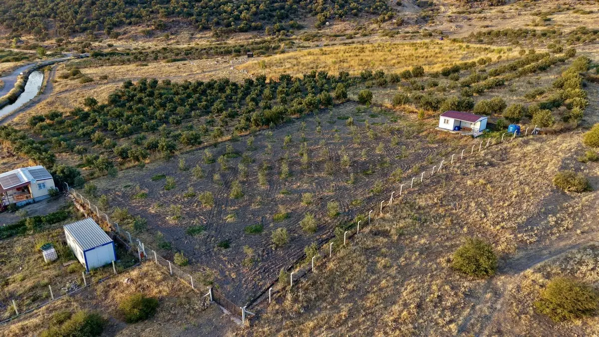 Dikili Bahçeliköyde 2.747m2 Konteynerli Tarla - 7