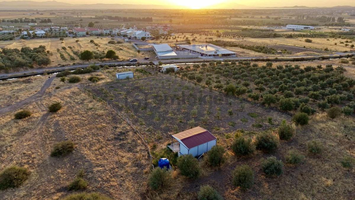 Dikili Bahçeliköyde 2.747m2 Konteynerli Tarla - 8
