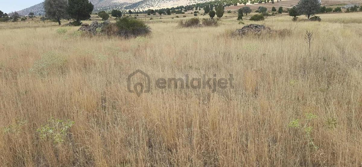Enes Acur'dan Sefaköy'de 3.700 M2 Müstakil Tarla - 13
