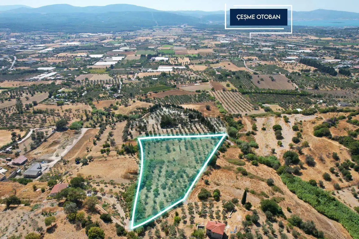 Urla Kuşçular Satılık Tarla - 23