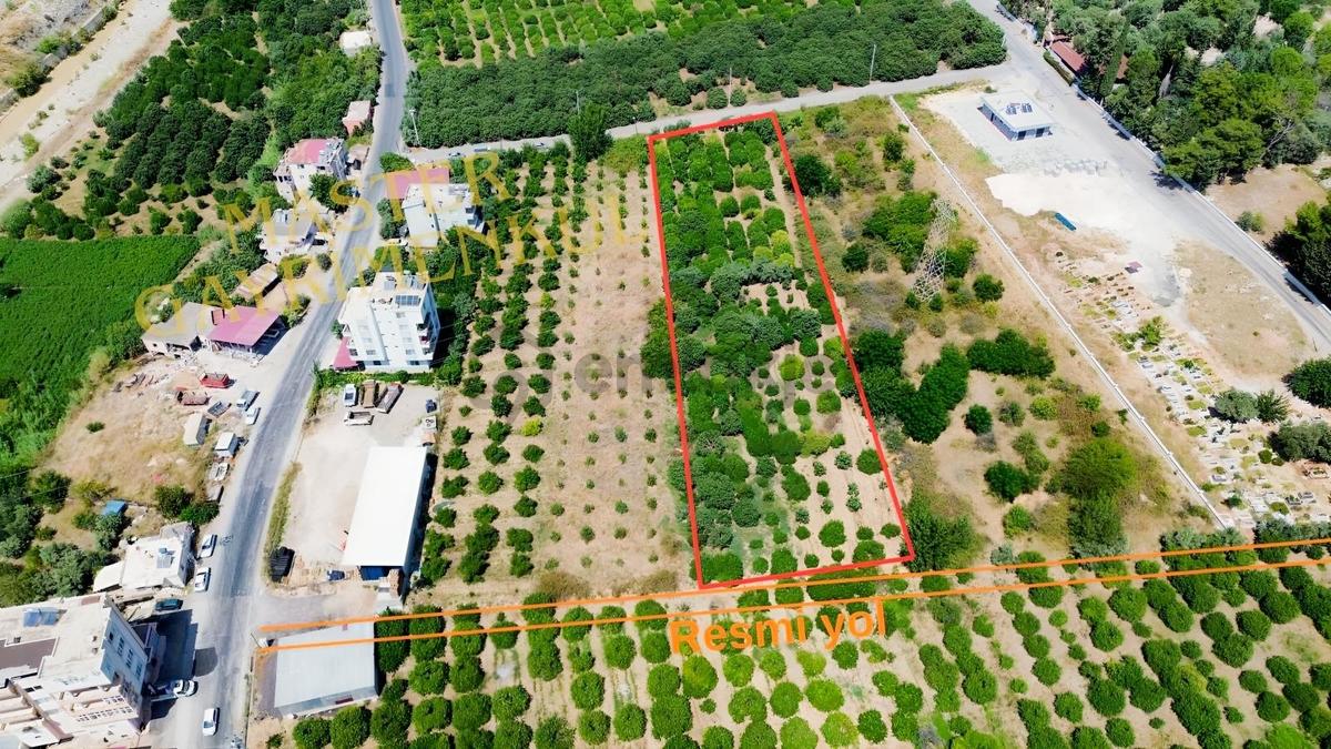 Tabiye'de Mükemmel Konumda 4.095m2 Limon Bahçesi !! - 4