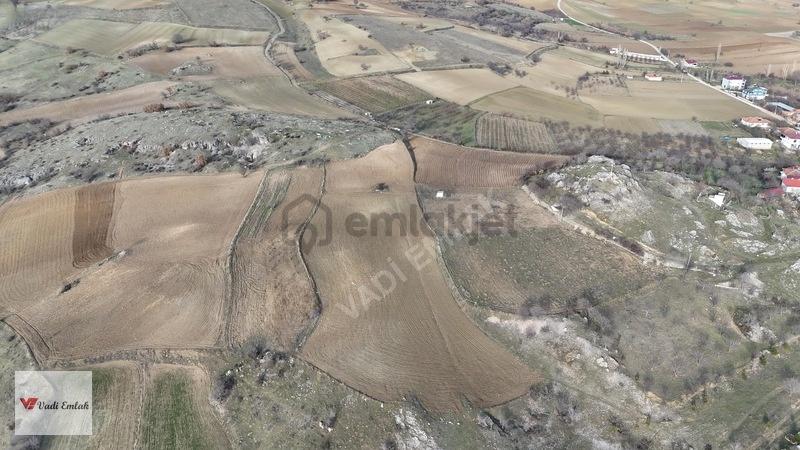 Dedeli Köyü'nde Satılık 3,769 M² Tarla | Vadi Emlak - 9