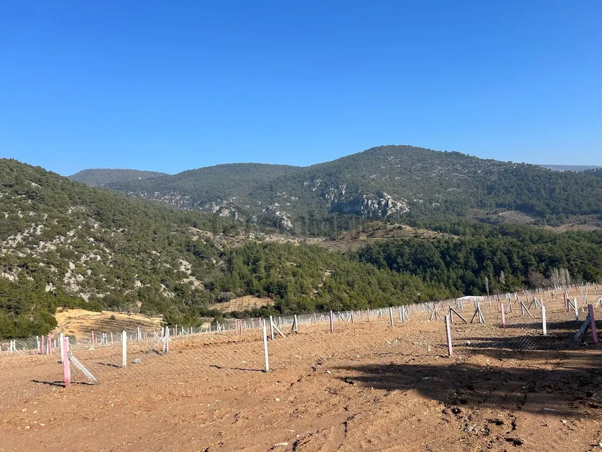Damlacık'ta 200 M² Bahçe - 11