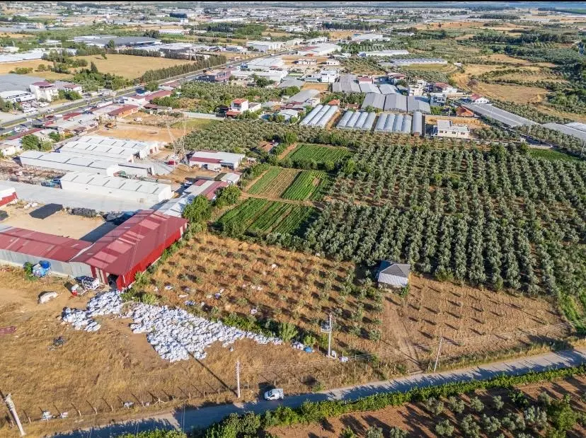 Menderesde Satılık 500 M2 Bahçe - 10