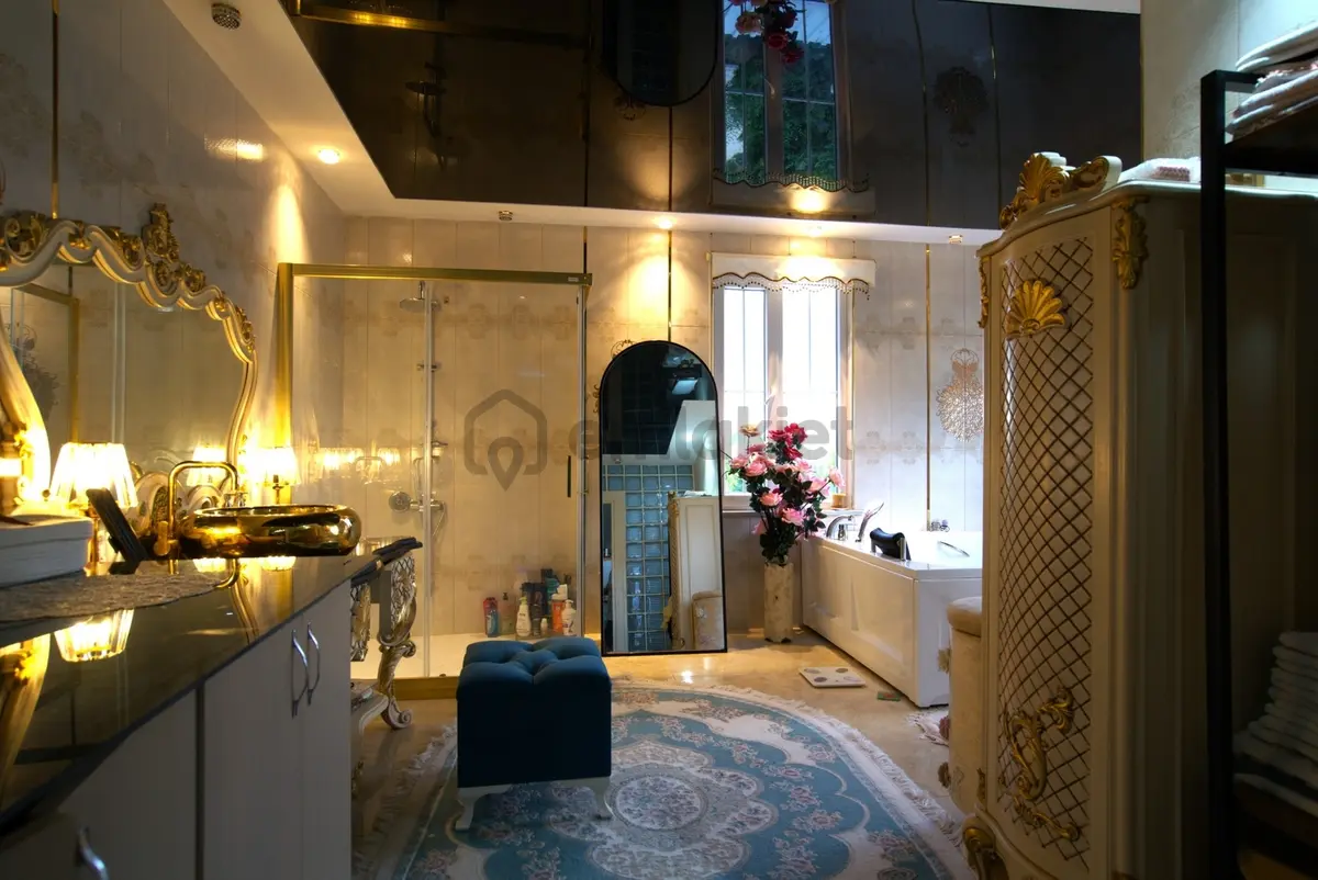 Lüleburgaz Çiftlikköy'de 4801 M2 Arsa İçinde 600m2 Malikhane - 30