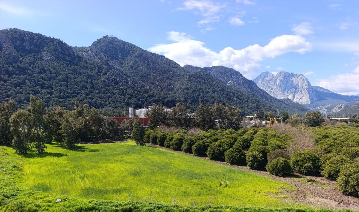 Eşyalı, Havuzlu, Doğa Manzaralı Masrafsız 3+1 Satılık Daire