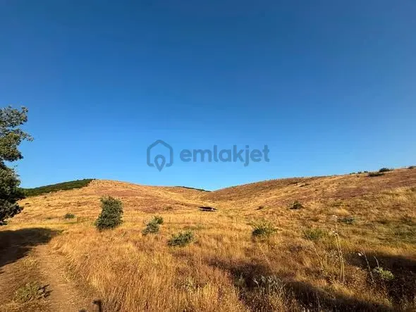 Tc Emlaktan Satılık 78 Dönüm Tarla - 30