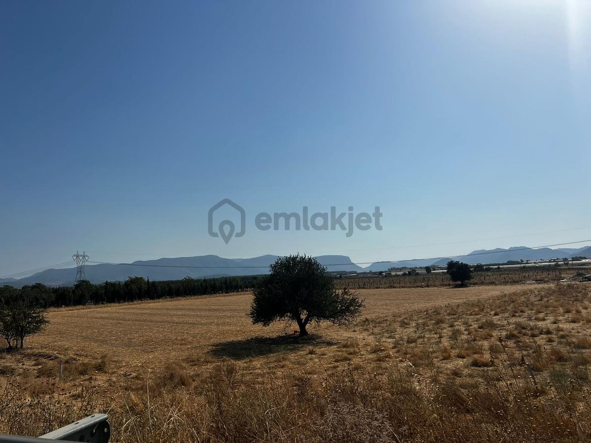 Develi'de Anayola Sıfır Tapudan Satışlı Bahçe - 4