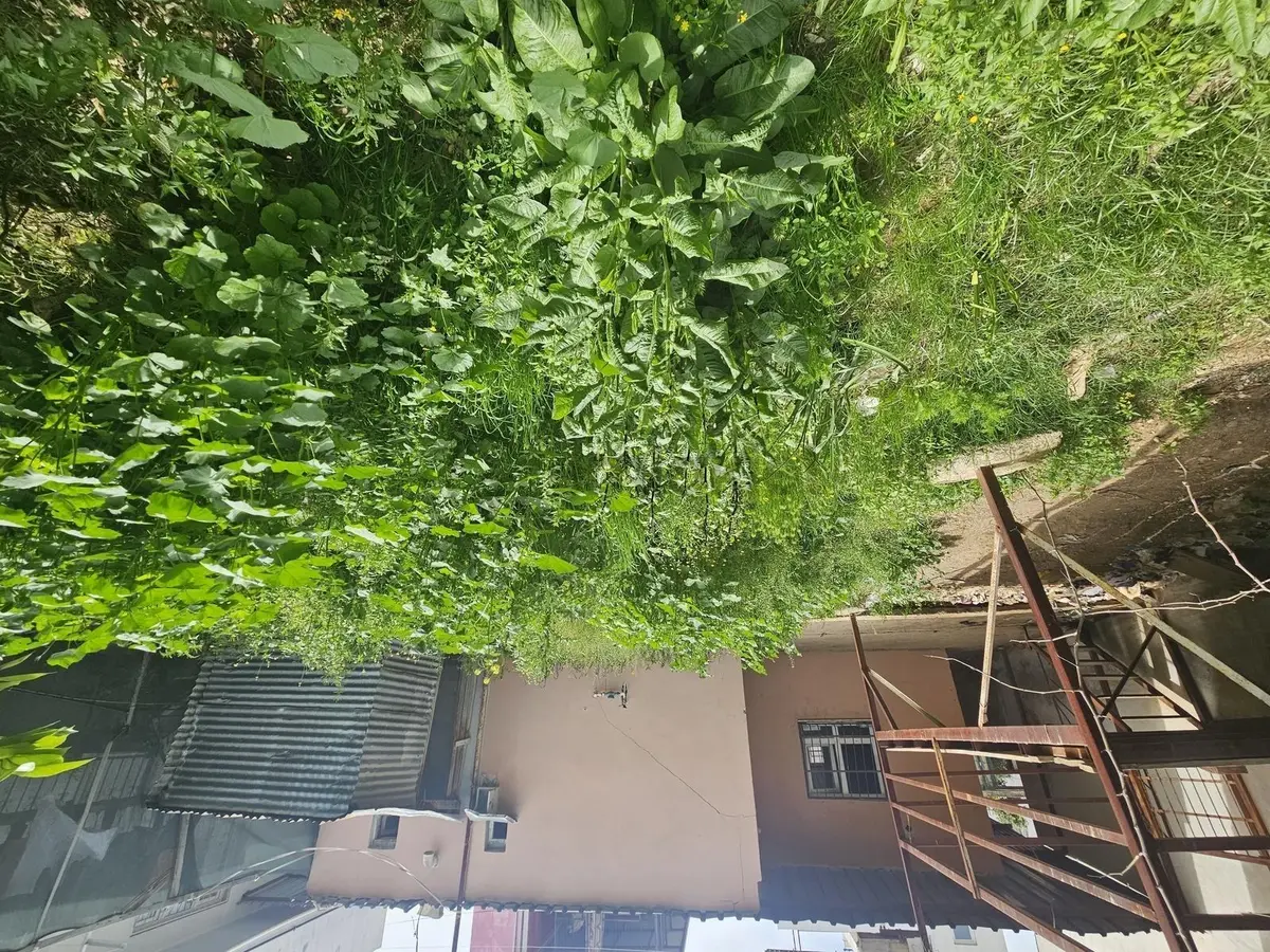 Çatıkule'den 200m2 Arsa İçerisin Tek Katlı Müstakil - 6