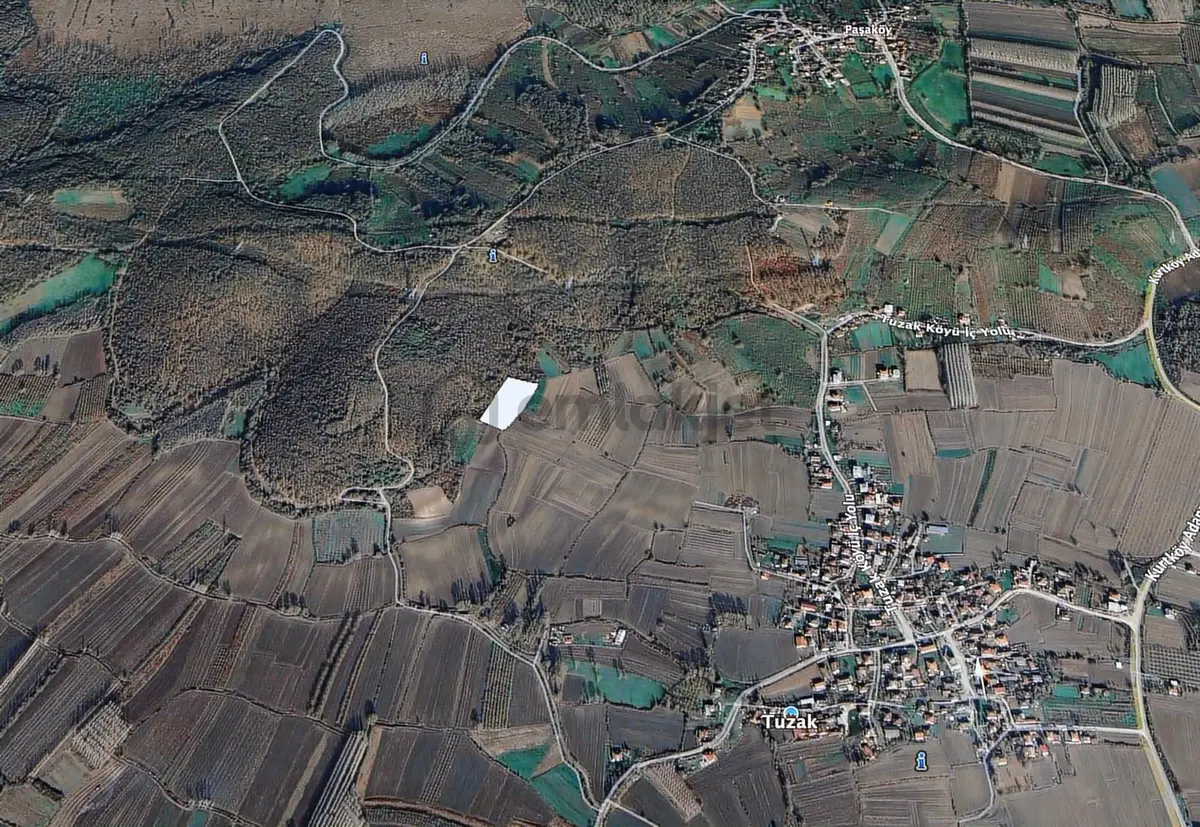 Sakarya Hendek Tuzak 5690 M2 Tarla - 4