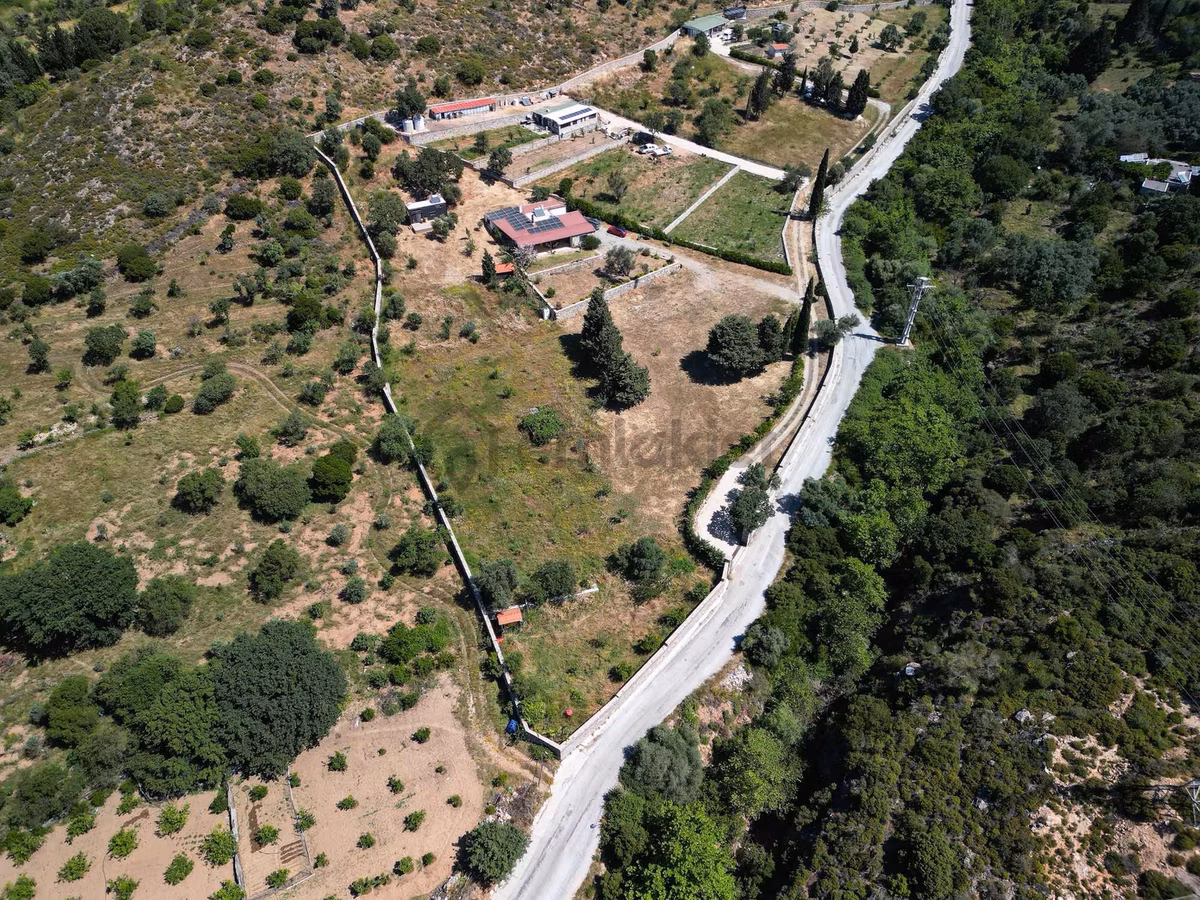 Bodrum Dereköy İçerisinde Taş Ev Bulunan 7441 M2 Tarla Hissesi - 6