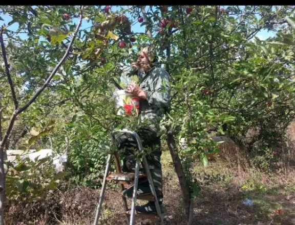 Sahibinden Bağ Bahçe Ev - 9